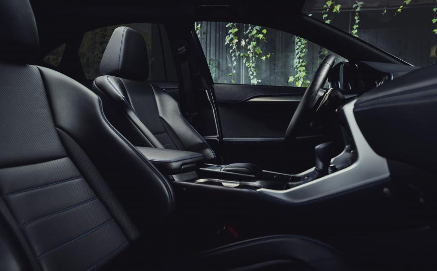 Интерьер Lexus NX300 F-Sport Black Line 2019 года  (NA) (фото 9 из 9)